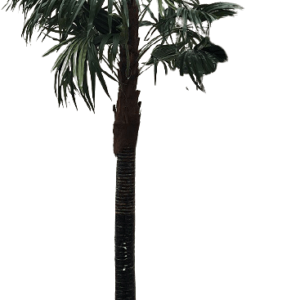 location de palmier artificiel