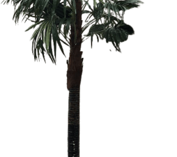 location de palmier artificiel